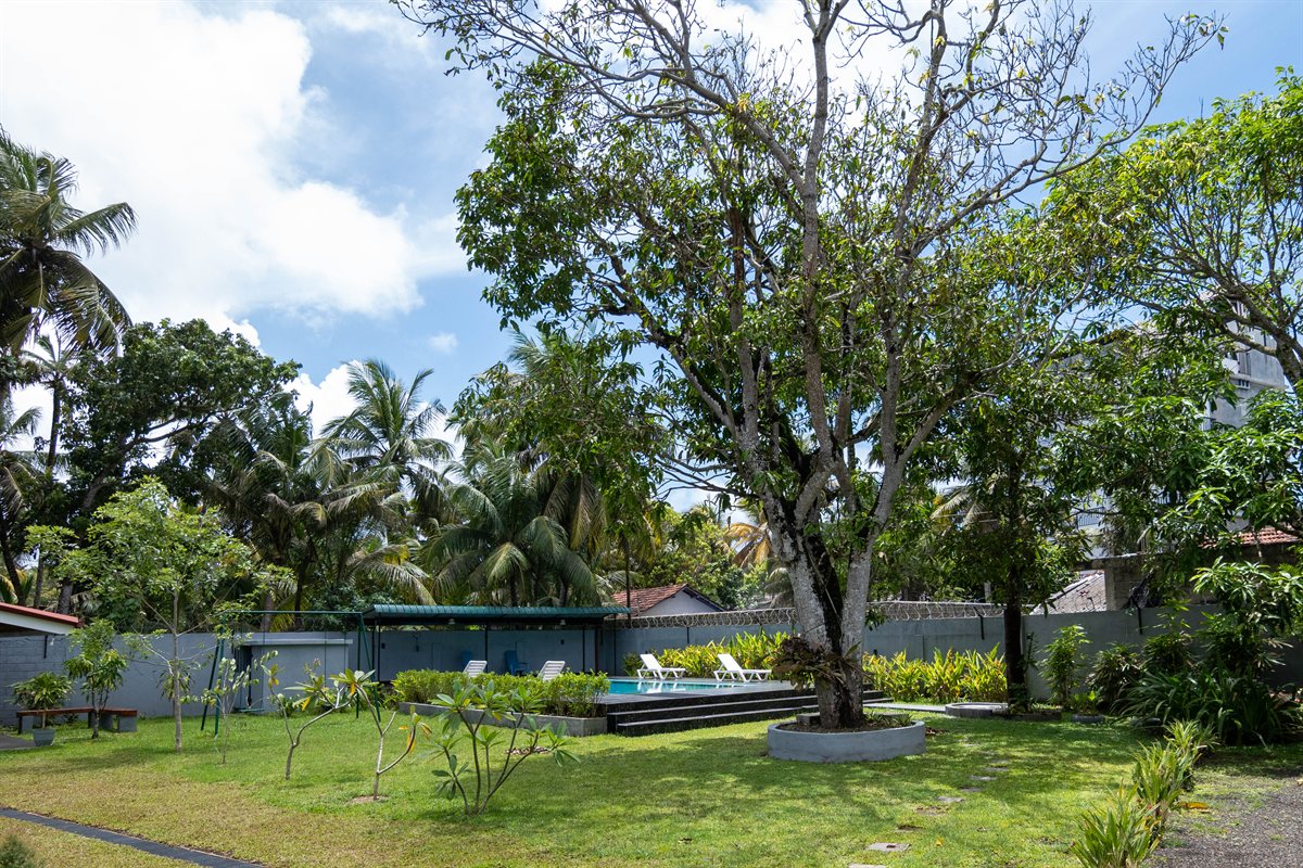 Shared tropical garden with a lawn, mature trees and the pool beyond